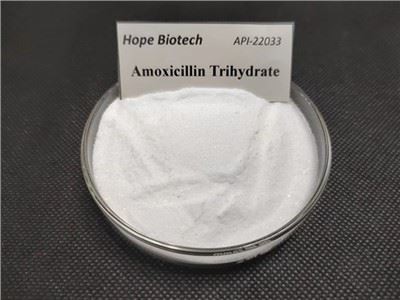 Amoksisilin Trihidrat